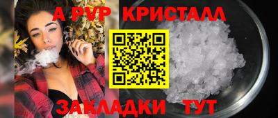 шишки Донской