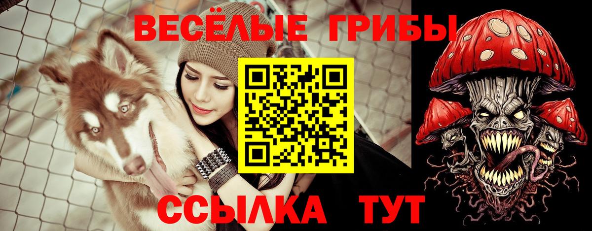 Кунгур  Псилоцибиновые грибы MAGIC MUSHROOMS  Вход с VPN 
