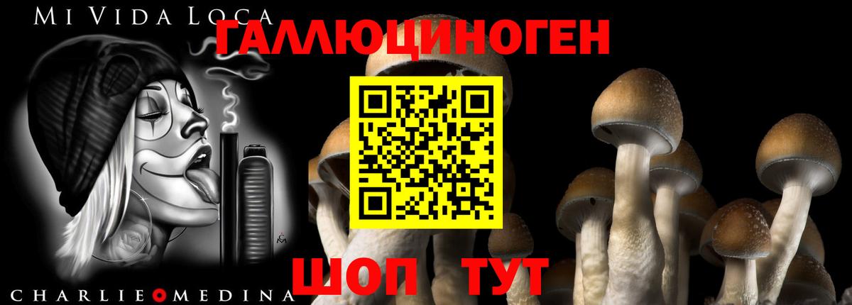 Галлюциногенные грибы прущие грибы Кунгур